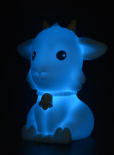 Afbeelding in Gallery-weergave laden, Dhink Color loop - Atmosphere light - nachtlampje Geitje
