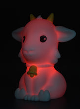 Afbeelding in Gallery-weergave laden, Dhink Color loop - Atmosphere light - nachtlampje Geitje