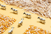 Afbeelding in Gallery-weergave laden, Petit Boum – Sensorische fles – Geluidsfles Boerderij