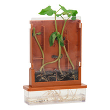 Afbeelding in Gallery-weergave laden, Experimenten - Planten Doolhof, 21-delige set