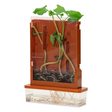 Afbeelding in Gallery-weergave laden, Experimenten - Planten Doolhof, 21-delige set