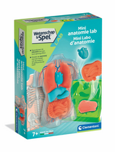 Afbeelding in Gallery-weergave laden, Clementoni Wetenschap & Spel - Squishy Anatomie