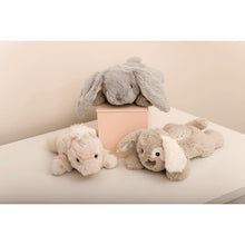 Afbeelding in Gallery-weergave laden, Cloud B Dream Buddies - Benny the Bunny konijn
