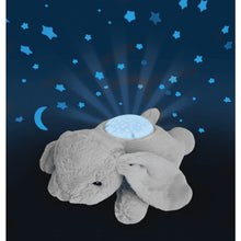 Afbeelding in Gallery-weergave laden, Cloud B Dream Buddies - Benny the Bunny konijn