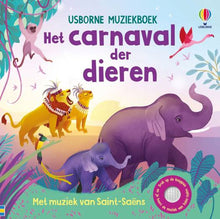 Afbeelding in Gallery-weergave laden, Usborne muziekboek - Het carnaval der dieren