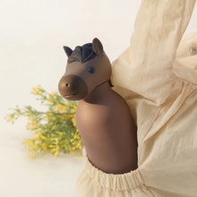 Afbeelding in Gallery-weergave laden, Asobu Bestie drinkfles Paard horse - 460 ml