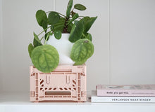 Afbeelding in Gallery-weergave laden, Aykasa Midibox opvouwbaar krat - Amandelgroen