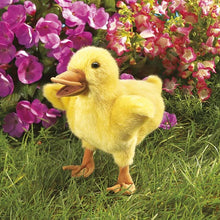Afbeelding in Gallery-weergave laden, Folkmanis handpop Duckling eendje