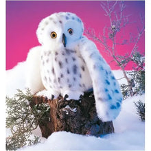 Afbeelding in Gallery-weergave laden, Folkmanis handpop - Sneeuwuil