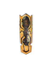 Afbeelding in Gallery-weergave laden, Hex Bots™ Nano Single Pack, 13 Designs - per stuk