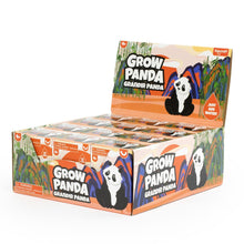 Afbeelding in Gallery-weergave laden, Keycraft Groei Panda - Hatch & Grow Panda