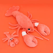Afbeelding in Gallery-weergave laden, Les Déglingos - Les Ptipotos Mom & Baby Iloveyou de kreeft