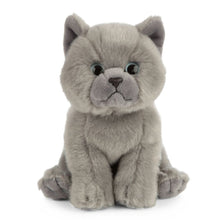 Afbeelding in Gallery-weergave laden, Living Nature knuffel Grijze Britse korthaar kat