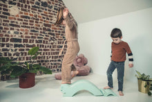 Afbeelding in Gallery-weergave laden, MOES Play Turtle & Baby turtle