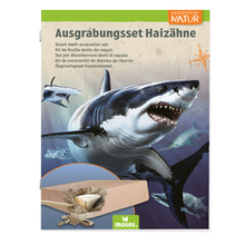 Afbeelding in Gallery-weergave laden, Moses Expeditie natuur uithaksteen haaientand