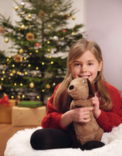 Afbeelding in Gallery-weergave laden, Moses Kerst kruik teckel 35,5 cm in giftbox