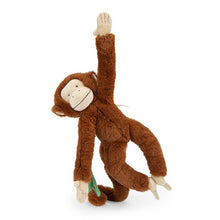 Afbeelding in Gallery-weergave laden, Moulin Roty - La Foret Mawa - Activiteitenknuffel aap Mochica
