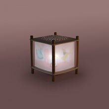 Afbeelding in Gallery-weergave laden, Moulin Roty x Trousselier - La Petit Ecole de danse toverlantaarn lamp
