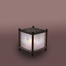 Afbeelding in Gallery-weergave laden, Moulin Roty x Trousselier - La Petit Ecole de danse toverlantaarn lamp