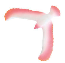 Afbeelding in Gallery-weergave laden, Moulin Roty Les petites merveilles - Evenwichtsvogel