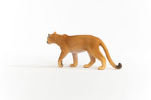 Afbeelding in Gallery-weergave laden, Schleich Wild Life Poema - 14853