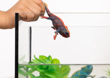 Afbeelding in Gallery-weergave laden, Schleich Wild Life Kameleon - 14858