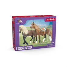 Afbeelding in Gallery-weergave laden, Schleich 42738 - Horse Club "Paso Peruano" Starter Set