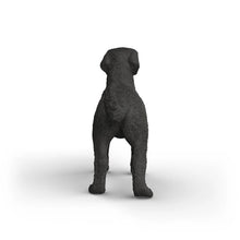 Afbeelding in Gallery-weergave laden, Schleich Farm World - Zwarte Labrador-retriever teef - 14923