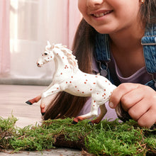 Afbeelding in Gallery-weergave laden, Schleich Horse Club - Knabstrupper merrie - 14917