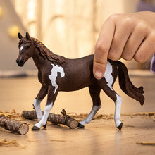 Afbeelding in Gallery-weergave laden, Schleich Horse Club Paint-merrie - 14901