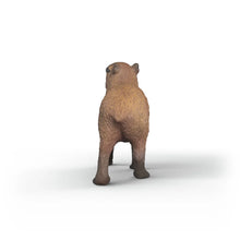 Afbeelding in Gallery-weergave laden, Schleich Wild Life - Capibara -14934