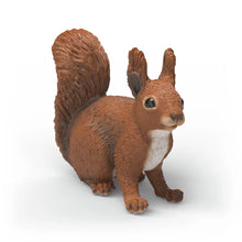 Afbeelding in Gallery-weergave laden, Schleich Wild Life - Eekhoorn - 14936