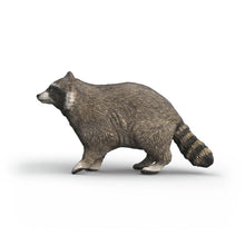 Afbeelding in Gallery-weergave laden, Schleich Wild Life - wasbeer - 14937