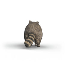 Afbeelding in Gallery-weergave laden, Schleich Wild Life - wasbeer - 14937