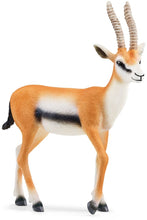 Afbeelding in Gallery-weergave laden, Schleich Wild Life Gazelle - 14861