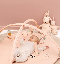 Afbeelding in Gallery-weergave laden, Trixie Activiteiten speelmat met bogen - Mrs. Rabbit 24-860