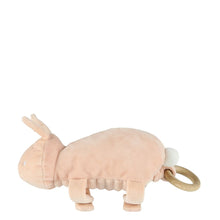 Afbeelding in Gallery-weergave laden, Trixie Muziekspeeltje - Mrs. Rabbit 24-883