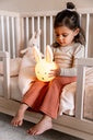 Afbeelding in Gallery-weergave laden, Trixie Nachtlamp - Mrs. Rabbit 18-135