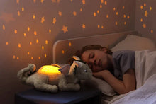 Afbeelding in Gallery-weergave laden, Cloud-B Twilight Buddies - Draak