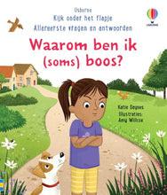 Afbeelding in Gallery-weergave laden, Usborne boek - Allereerste vragen & antwoorden - Waarom ben ik (soms) boos? 3+