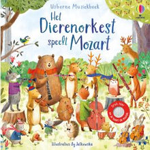 Afbeelding in Gallery-weergave laden, Usborne muziekboek - Het dierenorkest speelt Mozart