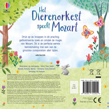 Afbeelding in Gallery-weergave laden, Usborne muziekboek - Het dierenorkest speelt Mozart