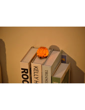 Afbeelding in Gallery-weergave laden, Winkee Tiny Nightlight - Egel