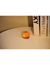 Afbeelding in Gallery-weergave laden, Winkee Tiny Nightlight - Egel