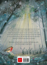 Afbeelding in Gallery-weergave laden, Clavis boek - Winterwelp - Ilse De Keyzer