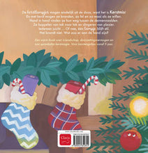 Afbeelding in Gallery-weergave laden, Clavis boek - Het kerstlampje dat niet brandde - Susan Wallenburg