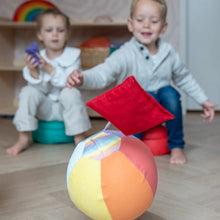 Afbeelding in Gallery-weergave laden, Little Botanic Label - Sensorische Ballonbal - Rainbow orginal & pastel