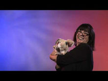 Video laden en afspelen in Gallery-weergave, Folkmanis handpop - Knorrend varken met geluid