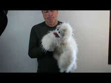 Video laden en afspelen in Gallery-weergave, Folkmanis handpop Yeti
