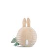 Afbeelding in Gallery-weergave laden, Trixie Geluidsbal - Mrs. Rabbit 24-906